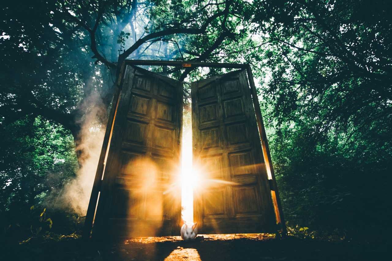 the-fairytale-door-with-back-light-in-the-mystic the-fairytale-door-with-back-light-in-the-mystic